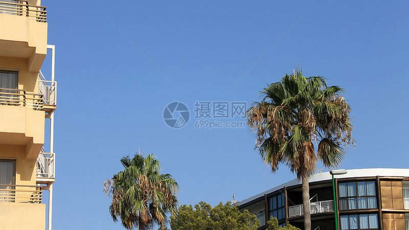 杭州水上团建定制方案